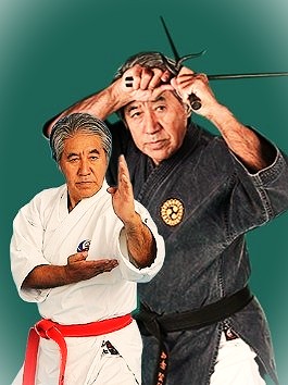 Section Karaté - Kobudo