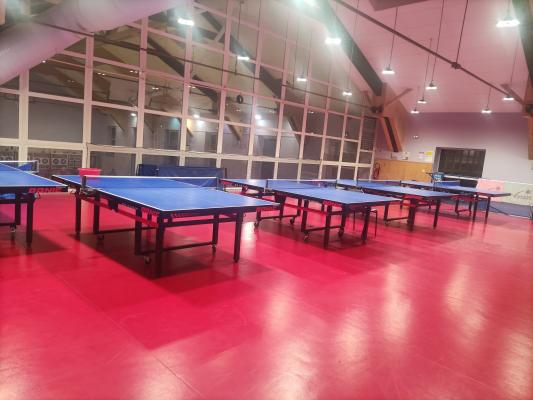 Illustration de la section Tennis de Table